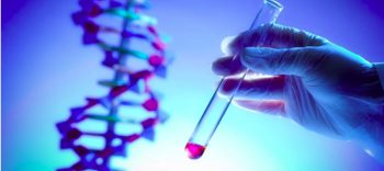 Image 6-24-25 at 6.25 AM